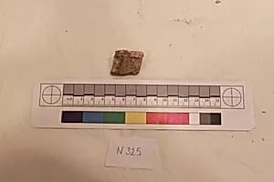 Stucco Fragment by Unknown Artist