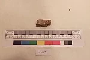 Stucco Fragment by Unknown Artist