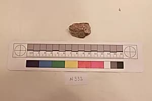 Stucco Fragment by Unknown Artist