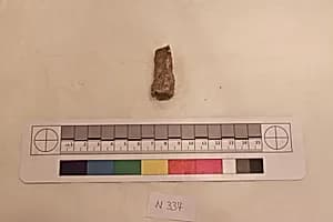 Stucco Fragment by Unknown Artist