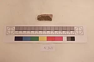 Stucco Fragment by Unknown Artist