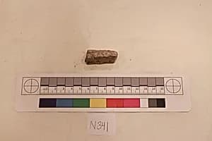Stucco Fragment by Unknown Artist