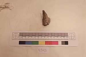 Stucco Fragment by Unknown Artist