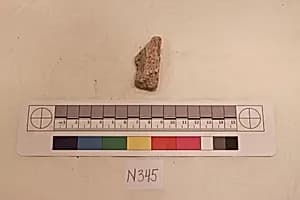 Stucco Fragment by Unknown Artist