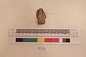 Stucco Fragment by Unknown Artist