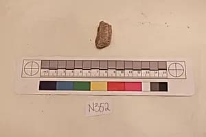Stucco Fragment by Unknown Artist