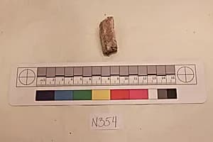 Stucco Fragment by Unknown Artist