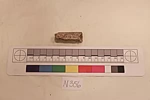 Stucco Fragment by Unknown Artist