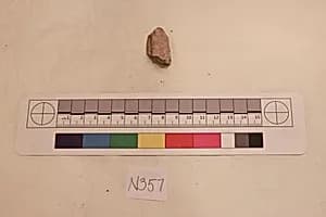 Stucco Fragment by Unknown Artist