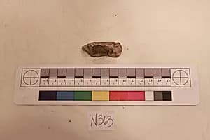 Stucco Fragment by Unknown Artist