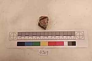 Stucco Fragment by Unknown Artist