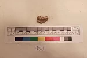 Stucco Fragment by Unknown Artist
