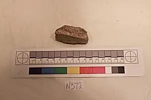 Stucco Fragment by Unknown Artist