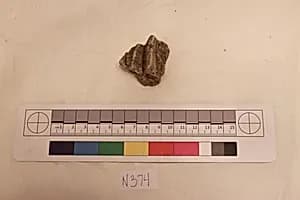 Stucco Fragment by Unknown Artist
