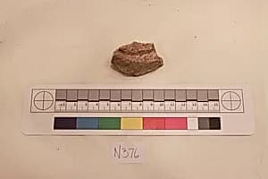 Stucco Fragment by Unknown Artist