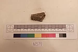 Stucco Fragment by Unknown Artist