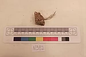 Stucco Fragment by Unknown Artist