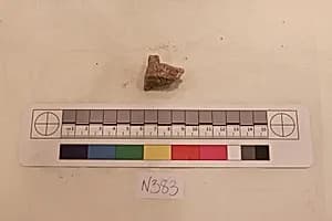 Stucco Fragment by Unknown Artist