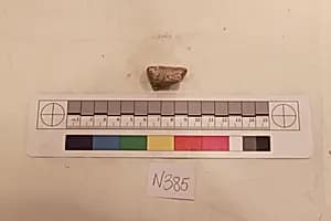 Stucco Fragment by Unknown Artist