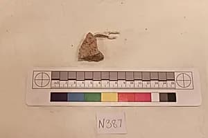 Stucco Fragment by Unknown Artist