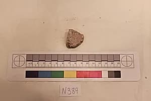 Stucco Fragment by Unknown Artist