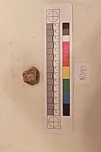 Stucco Fragment by Unknown Artist