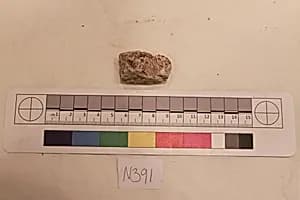 Stucco Fragment by Unknown Artist