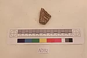 Stucco Fragment by Unknown Artist