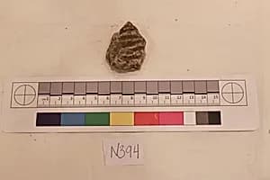 Stucco Fragment by Unknown Artist