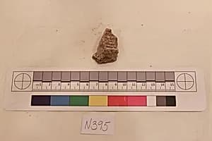Stucco Fragment by Unknown Artist
