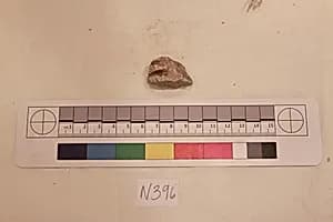 Stucco Fragment by Unknown Artist