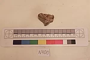 Stucco Fragment by Unknown Artist