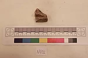 Stucco Fragment by Unknown Artist