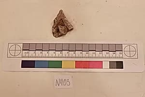 Stucco Fragment by Unknown Artist
