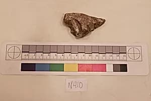 Stucco Fragment by Unknown Artist