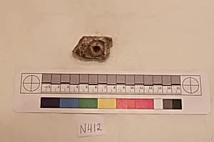 Stucco Fragment by Unknown Artist