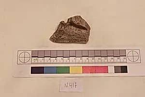 Stucco Fragment by Unknown Artist