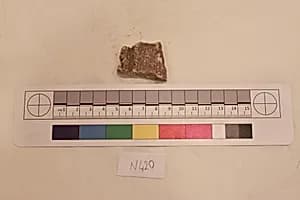 Stucco Fragment by Unknown Artist