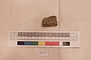 Stucco Fragment by Unknown Artist
