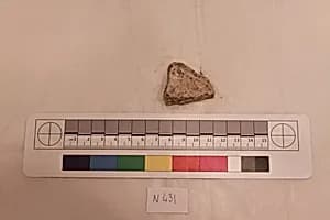 Stucco Fragment by Unknown Artist