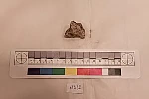 Stucco Fragment by Unknown Artist