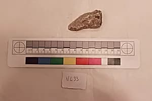 Stucco Fragment by Unknown Artist