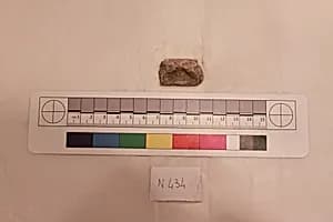 Stucco Fragment by Unknown Artist