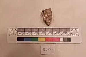 Stucco Fragment by Unknown Artist
