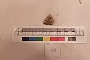 Stucco Fragment by Unknown Artist