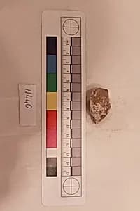 Stucco Fragment by Unknown Artist