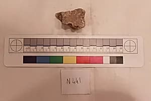 Stucco Fragment by Unknown Artist