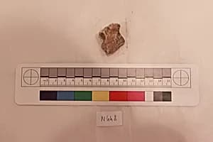 Stucco Fragment by Unknown Artist