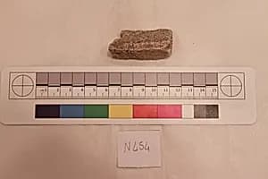 Stucco Fragment by Unknown Artist