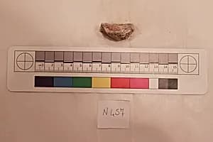 Stucco Fragment by Unknown Artist